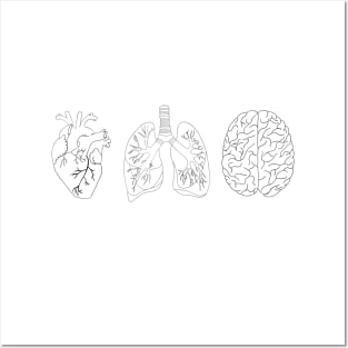 Anatomy heart brain, lung Posters and Art